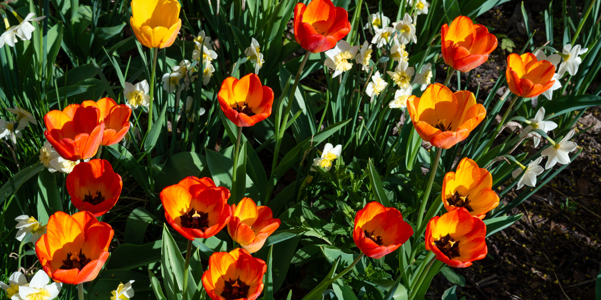 Spring Cleaning Checklist: Get Your Property Ready for Warmer Months