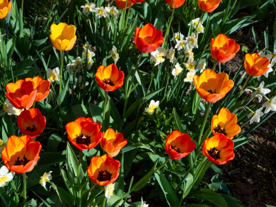 Spring Cleaning Checklist: Get Your Property Ready for Warmer Months