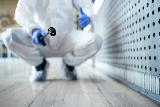 Pest Control services services
